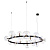 Подвесная люстра Arte Lamp Vincent A7790SP-24BK