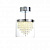 Потолочный светодиодный светильник ST Luce Racemo SL823.102.01
