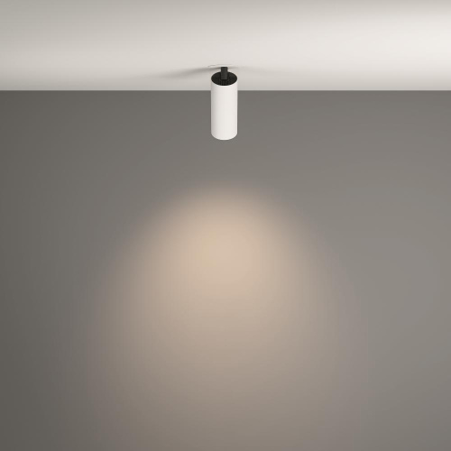 Потолочный светильник Technical C053CL-L12W4K-W-W