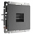 Розетка Werkel Ethernet RJ-45 Графит рифленый WL04-RJ-45 4690389145971