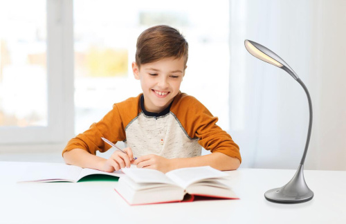 Настольная лампа Globo Shannon 58244