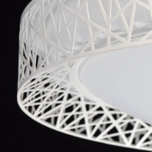 Потолочный светодиодный светильник De Markt Ривз 674012201