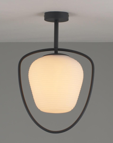 Потолочный светильник Moderli Julia V2881-1C