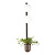 Настенный светильник Odeon Light Flower 4681/2WA