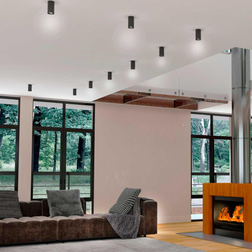 Потолочный светильник Novotech Elina 370725