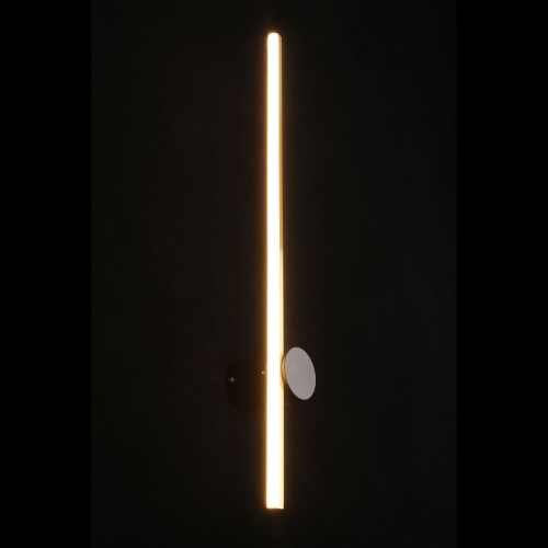 Настенный светодиодный светильник Aployt Beatris APL.056.11.09