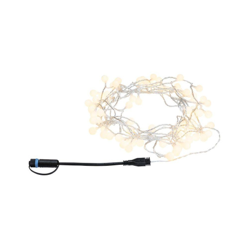 Уличная светодиодная гирлянда Paulmann Plug Shine 24V теплый белый 94557
