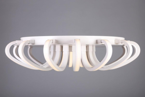 Потолочная светодиодная люстра Omnilux OML-48107-112