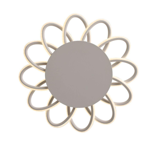 Потолочный светодиодный светильник ST Luce Camomilla SL828.502.12