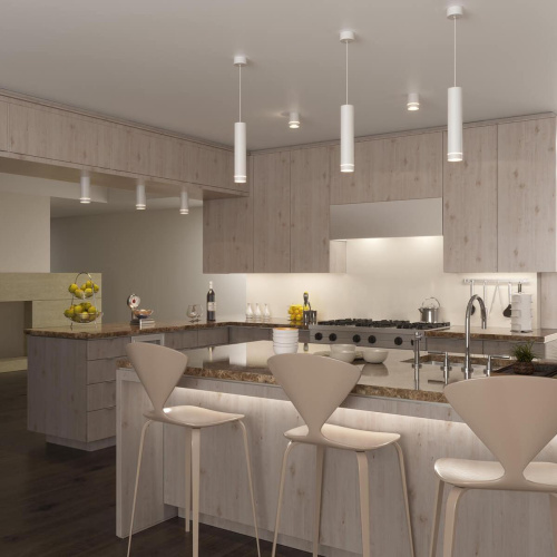 Потолочный светодиодный светильник Elektrostandard DLR021 9W 4200K хром a037521