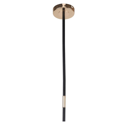 Подвесная люстра F-Promo Vitra 2686-5P