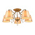Потолочная люстра Evoluce Rimonio SL1135.102.05