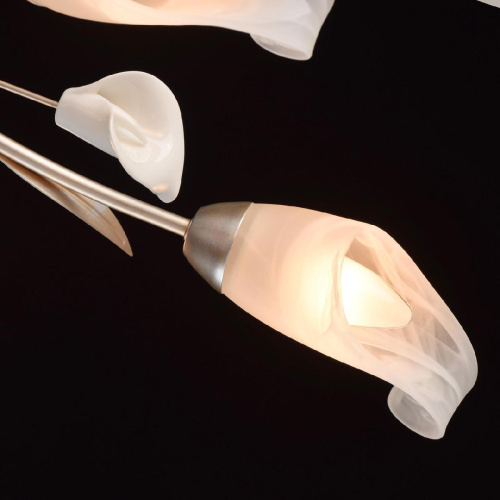 Потолочная люстра MW-Light Восторг 19 242016306 Потолочная люстра MW-Light Восторг 19 242016306