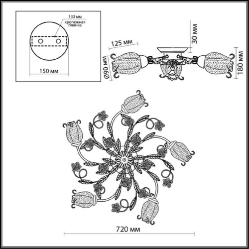 Потолочная люстра Odeon Light Ameli 2252/5C
