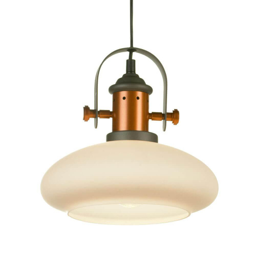 Подвесной светильник Lussole Loft GRLSP-9845 Подвесной светильник Lussole Loft GRLSP-9845
