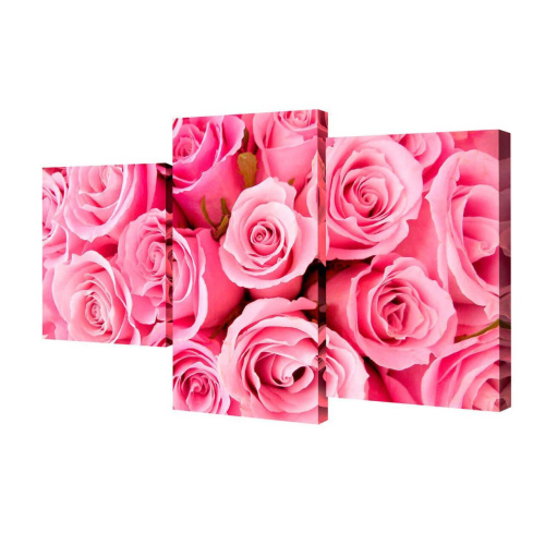 Мини модульная картина Toplight Цветы 50х78см TL-MM1056