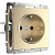 Розетка Werkel с заземлением и шторками шампань рифленая WL10-SKGS-01-IP44 4690389085253