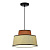 Подвесной светильник ST Luce Jackie SL1354.423.01