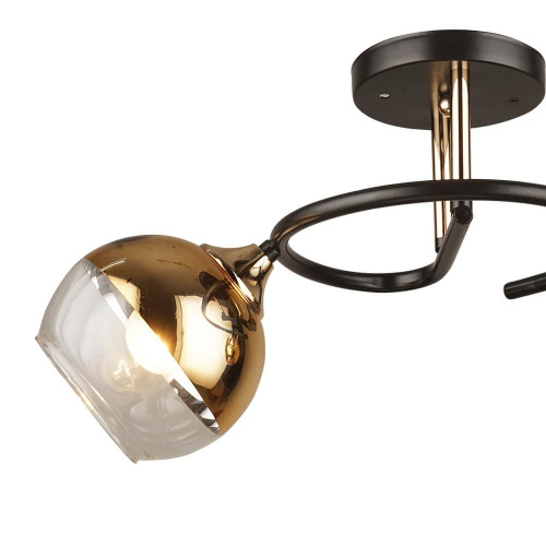 Потолочная люстра Wedo Light Ажелли 66395.01.15.02