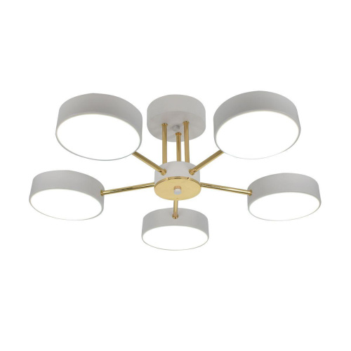 Потолочная светодиодная люстра Escada Rune 10262/5LED