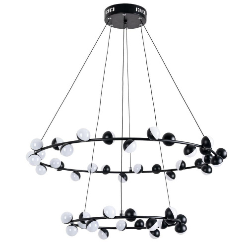 Подвесная светодиодная люстра Arte Lamp Dexter A3619SP-48BK Подвесная светодиодная люстра Arte Lamp Dexter A3619SP-48BK
