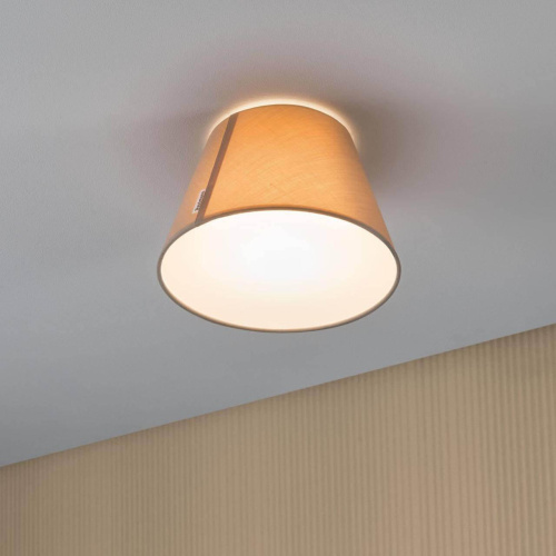 Потолочный светильник Paulmann Mea 70950