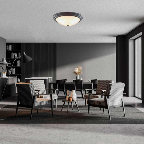 Настенно-потолочный светильник Lumion Vintage Kayla 5263/3C