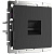 Телефонная розетка Werkel RJ-11 черный матовый WL08-RJ-11 4690389054242