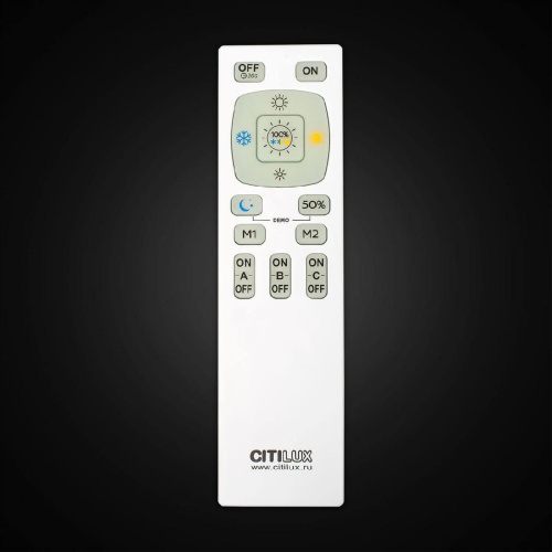 Потолочная светодиодная люстра Citilux Паркер CL225190R