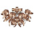 Потолочный светильник Lussole Loft GRLSA-5917-09