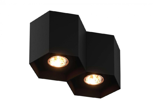 Потолочный светильник Zumaline Polygon cl2 20036-BK