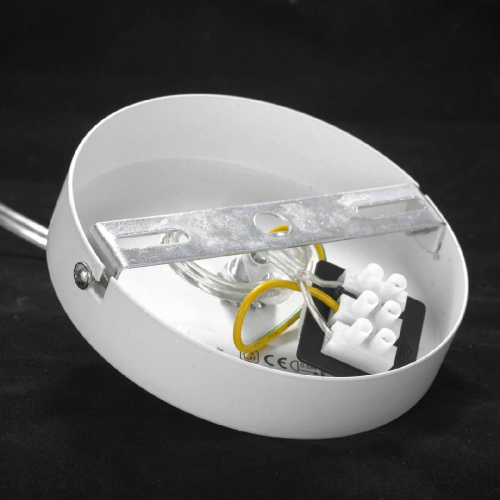 Подвесной светильник Lussole Lgo Bossier LSP-8274 Подвесной светильник Lussole Lgo Bossier LSP-8274