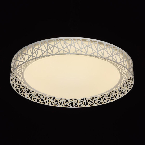 Потолочный светодиодный светильник De Markt Ривз 674012201