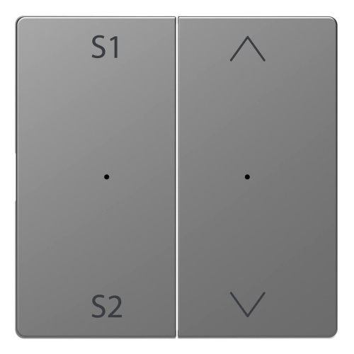 Клавиша двойная Schneider Electric Merten D-Life MTN5227-6036