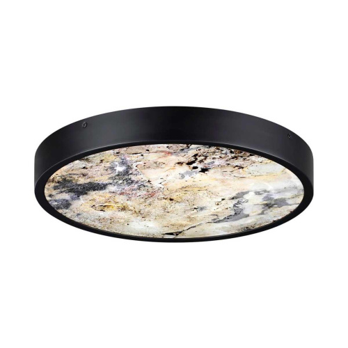 Настенно-потолочный светильник Odeon Light BERGI 5064/24L Настенно-потолочный светильник Odeon Light BERGI 5064/24L