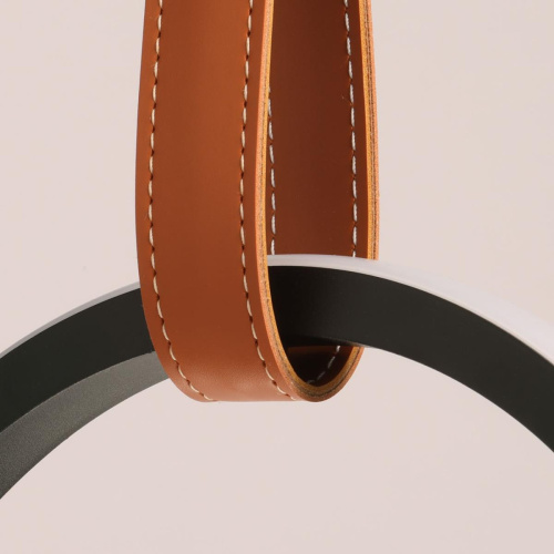 Подвесной светильник De Markt Ральф 675015901