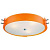 Потолочный светильник ST Luce Hegia SL484.092.06