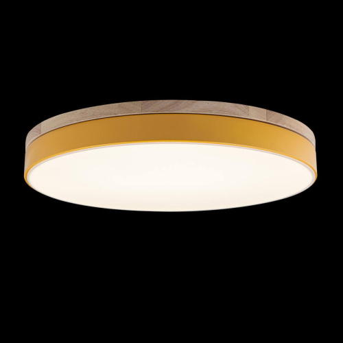 Потолочный светодиодный светильник Loft IT Axel 10001/36 yellow Потолочный светодиодный светильник Loft IT Axel 10001/36 yellow