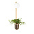 Настенный светильник Odeon Light Flower 4682/1WB