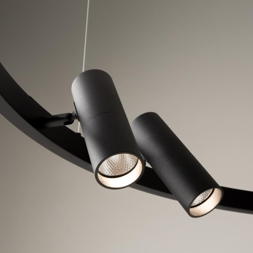 Подвесной светильник Maytoni MOD102PL-L42BK