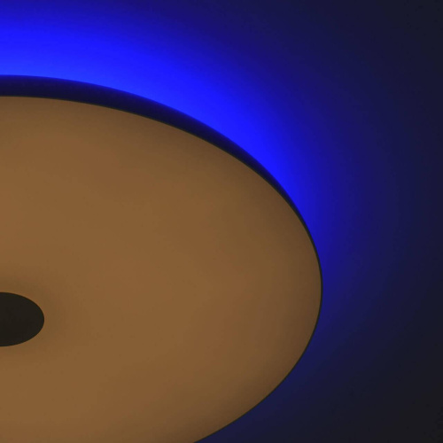 Потолочный светодиодный светильник De Markt Норден 6 660012901 Потолочный светодиодный светильник De Markt Норден 6 660012901