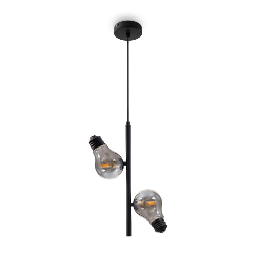 Подвесной светильник Freya FR5372PL-02B Подвесной светильник Freya FR5372PL-02B