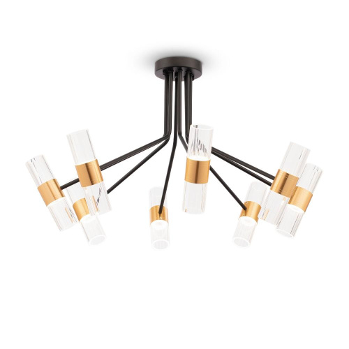 Потолочная светодиодная люстра Freya Mia FR6038CL-L80B