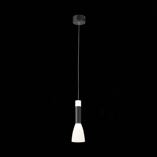 Подвесной светодиодный светильник ST Luce Agioni SL1590.403.01 Подвесной светодиодный светильник ST Luce Agioni SL1590.403.01