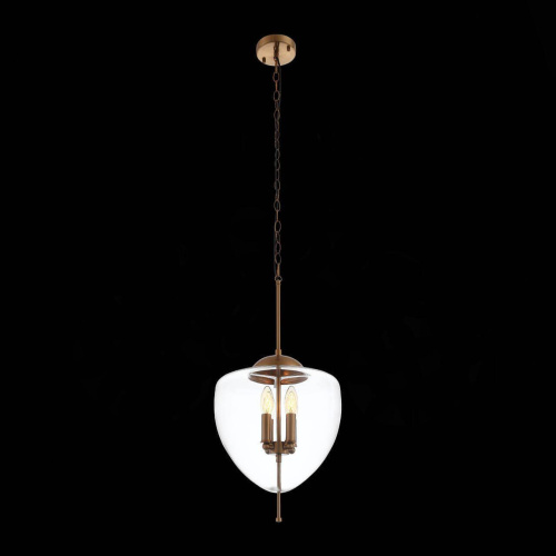 Подвесной светильник ST Luce Delevaso SL367.223.04