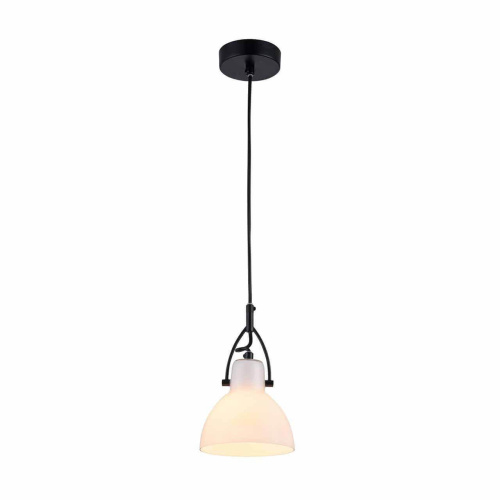 Подвесной светильник Maytoni Daniel MOD407-PL-01-B
