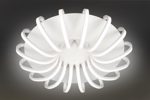 Потолочная светодиодная люстра Omnilux OML-48107-112