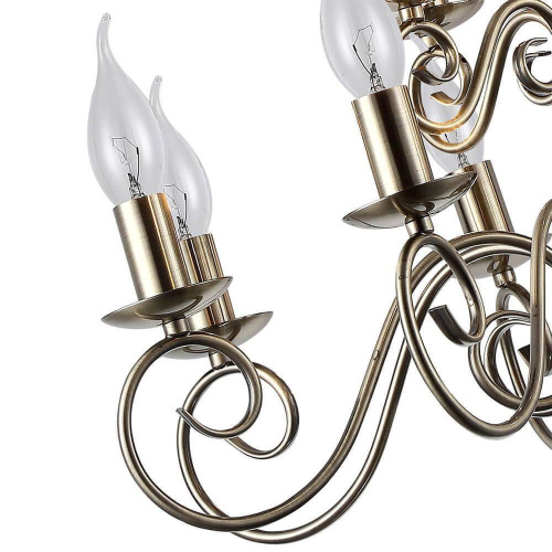 Подвесная люстра Arte Lamp A1129LM-12AB Подвесная люстра Arte Lamp A1129LM-12AB