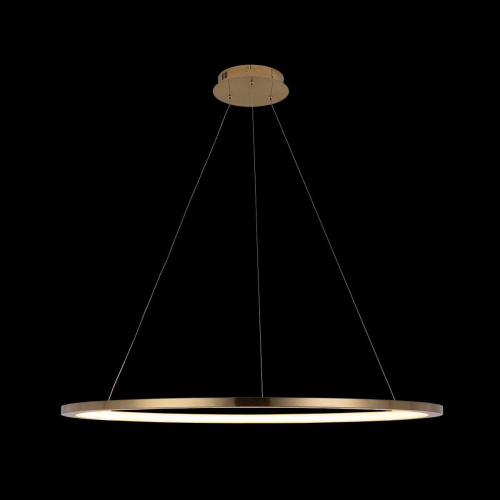 Подвесной светодиодный светильник Loft IT Ring 10014XL
