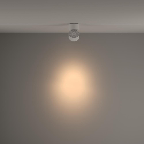 Трековый светильник Technical TR084-1-15W3K-D-W